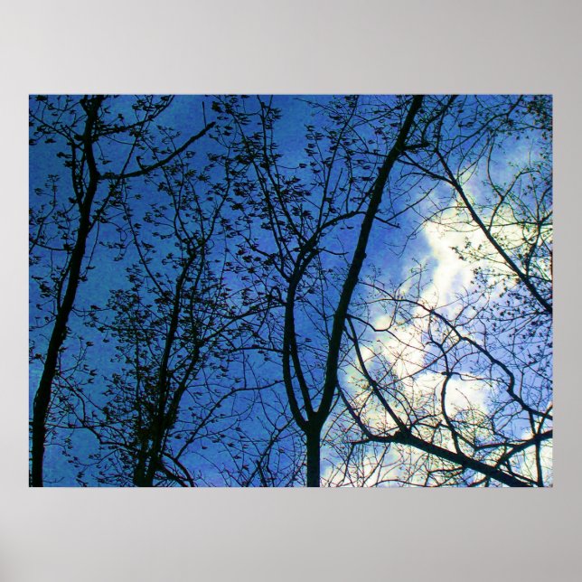 Skyline durch Tree Scapes fallen - Toronto Island Poster (Vorne)