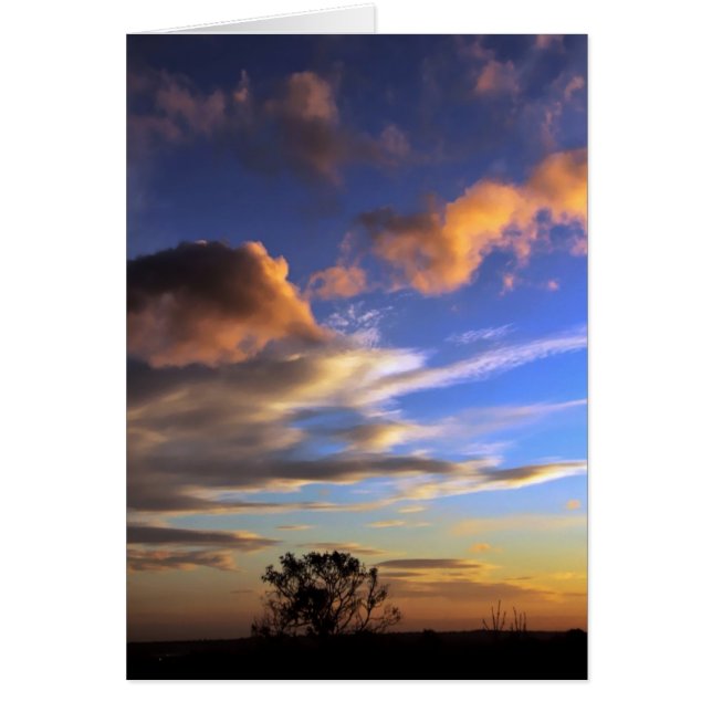 Skyscapes: Ferntree Sinkkasten-Karte (Vorne)