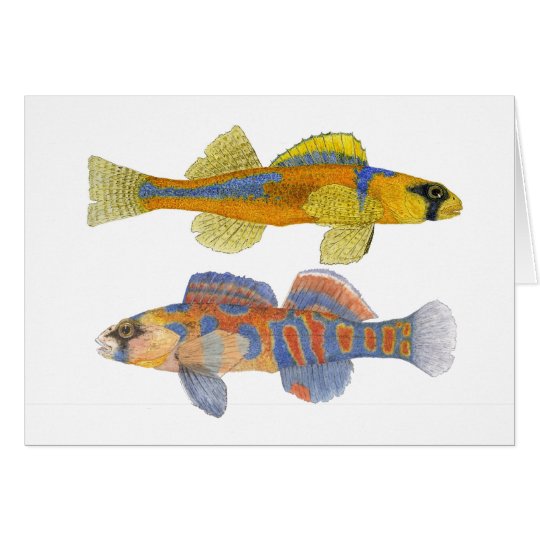 Slackwater u. Orange-Throated Darters Karte