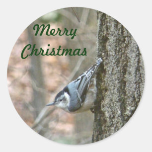 Slate Gray Nuthatch Christmas Songbird Weihnachten Runder Aufkleber