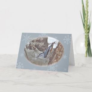 Slate Gray Nuthatch Songbird Seasons Grußkarte Feiertagskarte