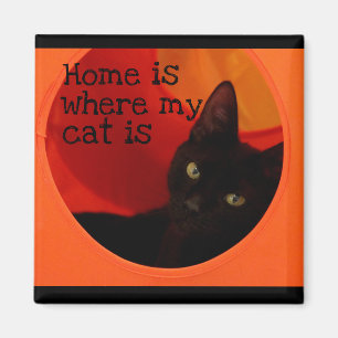 Sleek Black Cat mit Gold Eyes Kühlschrank Magnet