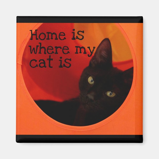 Sleek Black Cat mit Gold Eyes Kühlschrank Magnet (Vorne)