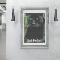 Sleek Black Panther Cat mit grünen Augen