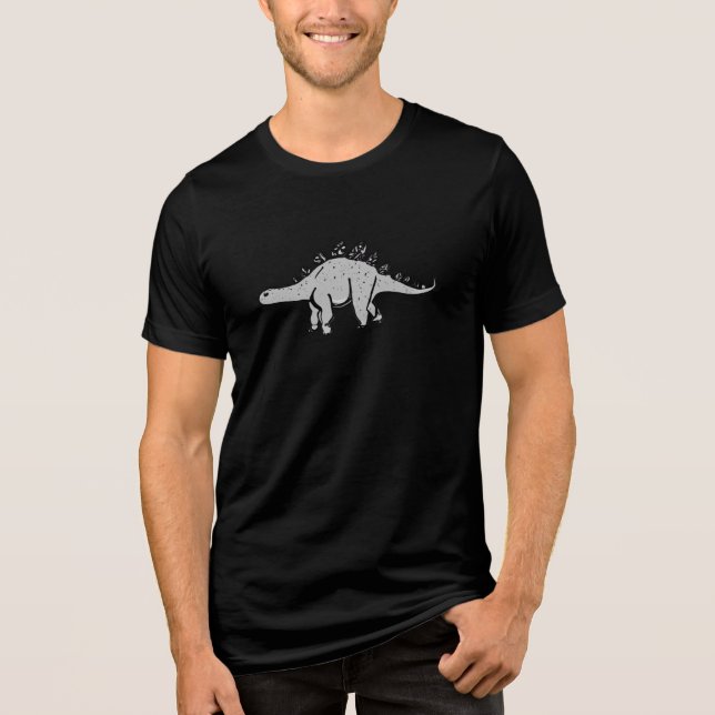 Sleek Stegosaurus: Unisex T-Shirt Tri-Blend Shirt (Vorderseite)
