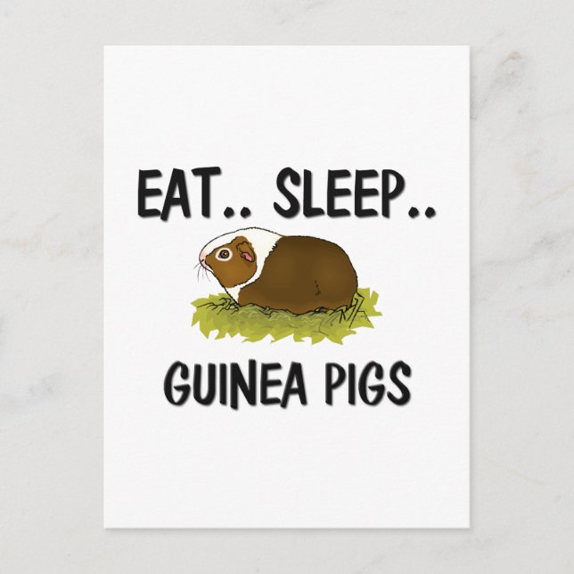 Sleep GUINEA SCHEINEN essen Postkarte (Vorderseite)