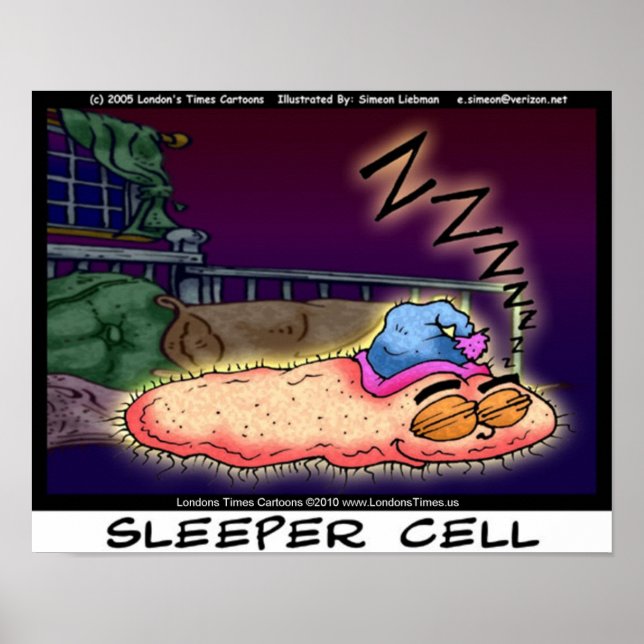 Sleeper Cell Funny Collectif Posters d'Art (Devant)