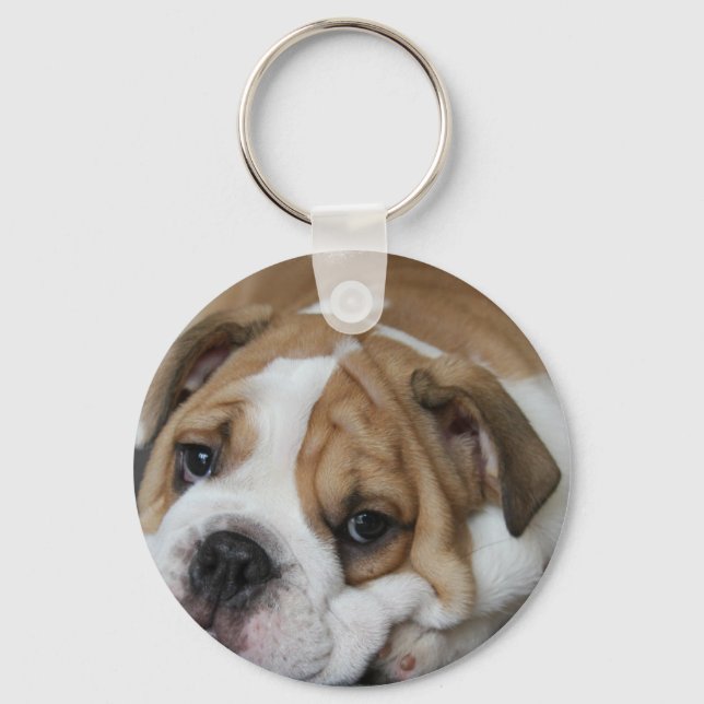 Sleeping Bulldog Schlüsselanhänger (Vorderseite)