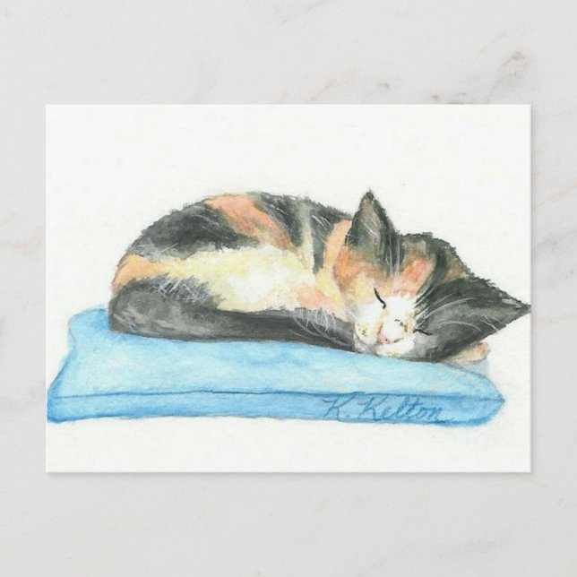 Sleeping Calico Kitten Postcard Postkarte (Vorderseite)