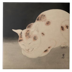 Sleeping Cat by Kawanabe Kyosai Fliese