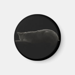 Sleeping Cat Silhouette Photograph Magnet