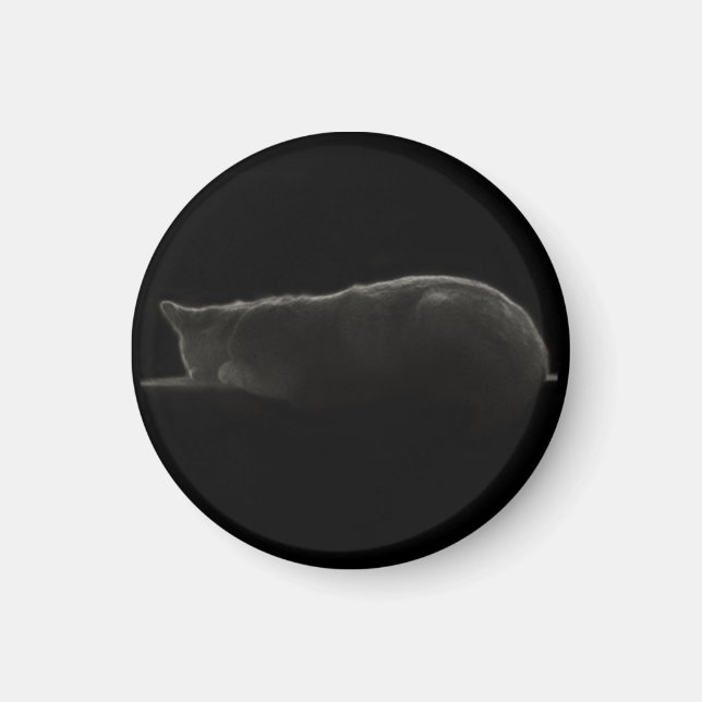 Sleeping Cat Silhouette Photograph Magnet (Vorne)