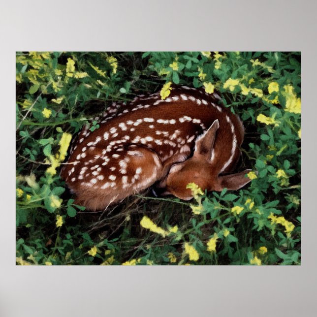 Sleeping Fawn Poster (Vorne)