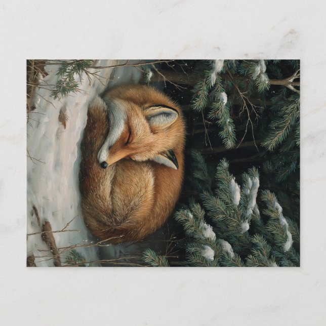 Sleeping Fox in Winter Forest Postkarte (Vorderseite)