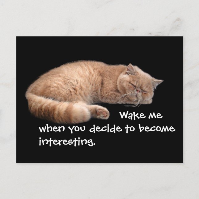 Sleeping Ginger Cat Funny Weckte Me Quote Postkarte (Vorderseite)