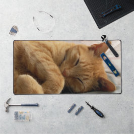 Sleeping Ginger Cat Schreibtischunterlage