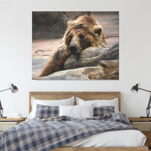 Sleeping Grizzly Bär gestreckte Canvas Print Leinwanddruck