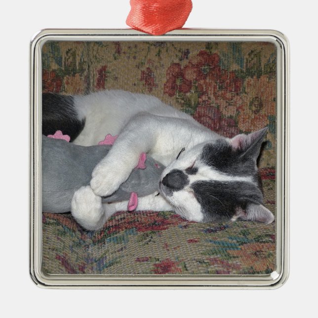 Sleeping Kitten Silbernes Ornament (Vorne)