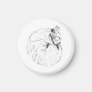 Sleeping Kitty Magnet