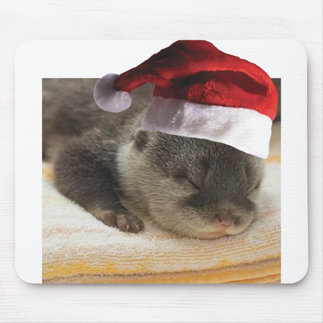 Sleeping-Otter Mousepad (Vorne)