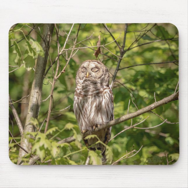 Sleepy Barred Owl Mousepad (Vorne)