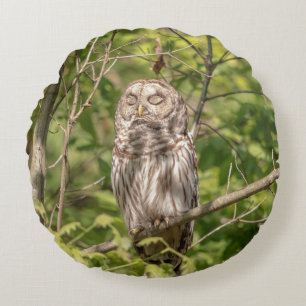 Sleepy Barred Owl Rundes Kissen