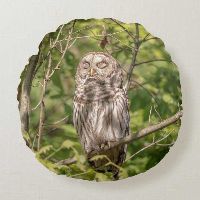 Sleepy Barred Owl Rundes Kissen (Vorderseite)