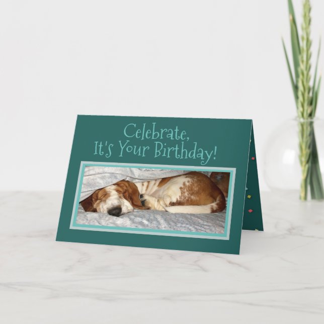 Sleepy Basset Sur La Carte D'Anniversaire "Animal  (Devant)