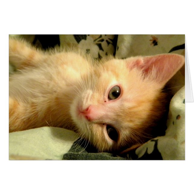 Sleepy Boy I (Devant horizontal)