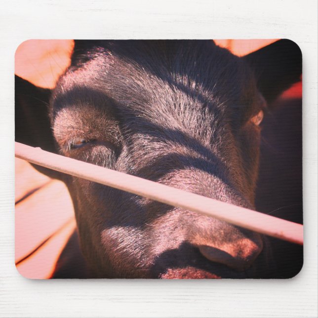 Sleepy Bull Farm Animal Nature  Mousepad (Vorne)
