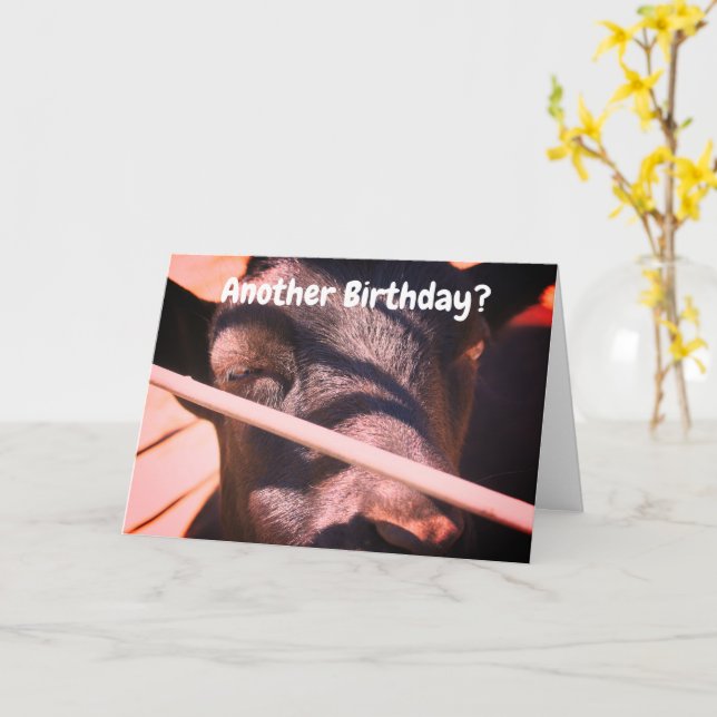 Sleepy Bull Humore Animal Birthday Karte (Gelbe Blume)