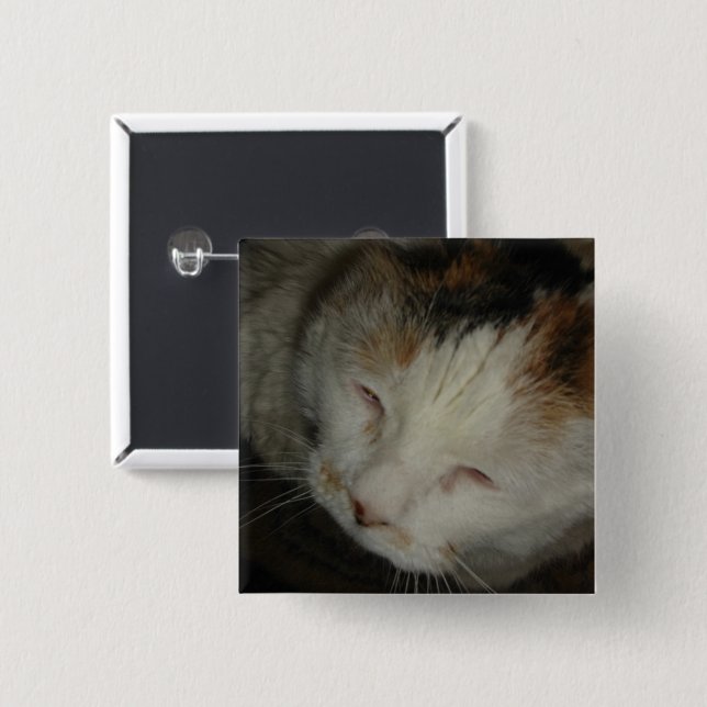 Sleepy Calico Cat Button (Vorne & Hinten)