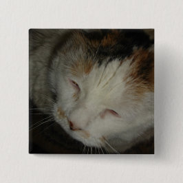 Sleepy Calico Cat Button