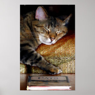 Sleepy Cat Book Painting Poster
