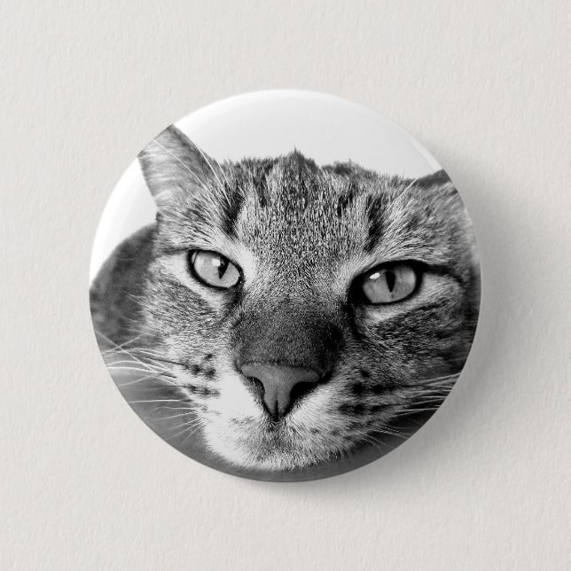 Sleepy Cat Button (Vorderseite)
