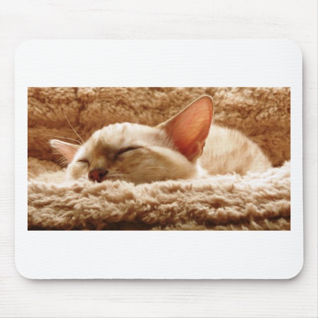 Sleepy Cat Mousepad (Vorne)