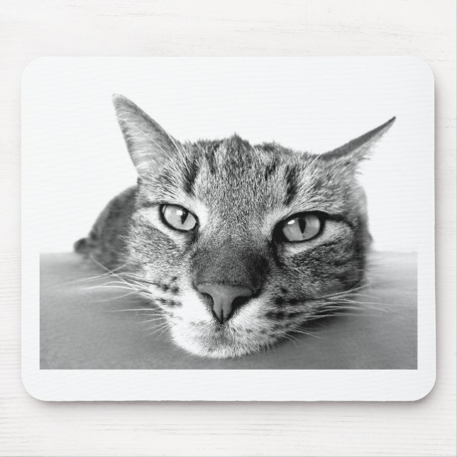 Sleepy Cat Mousepad (Vorne)
