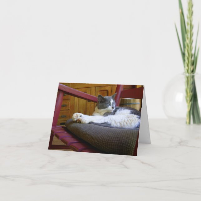 Sleepy Cat Note Card Karte (Vorderseite)