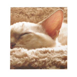 Sleepy Cat Notizblock