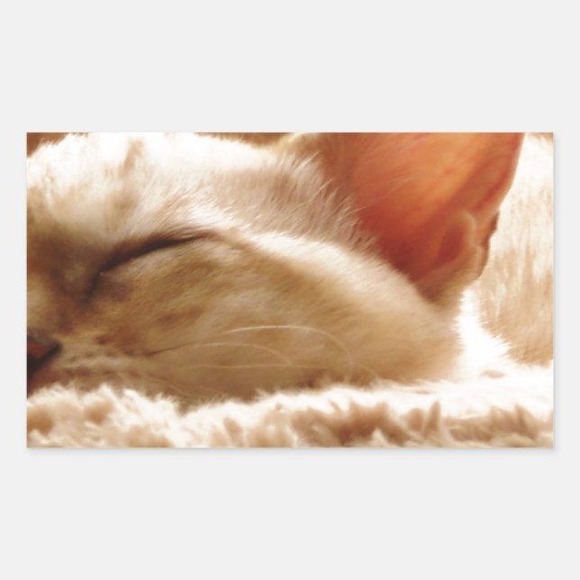 Sleepy Cat Rechteckiger Aufkleber (Vorderseite)