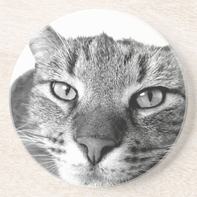 Sleepy Cat Sandstein Untersetzer (Vorne)