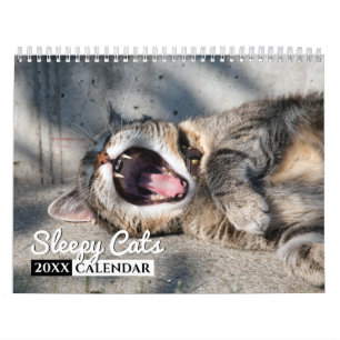 Sleepy Cats 2022 Foto Wall Calendar Kalender