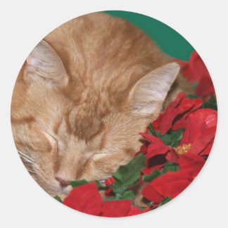 Sleepy Christmas kitty Runder Aufkleber