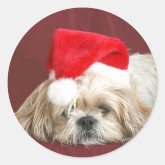 Sleepy Christmas Shih Tzu Runder Aufkleber