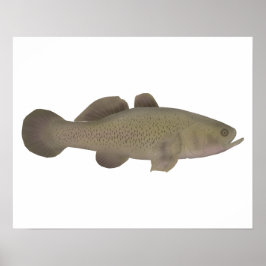 Sleepy Cod Poster