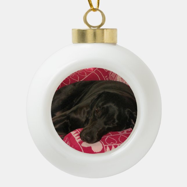 Sleepy Dog Ball Ornament (Vorderseite)
