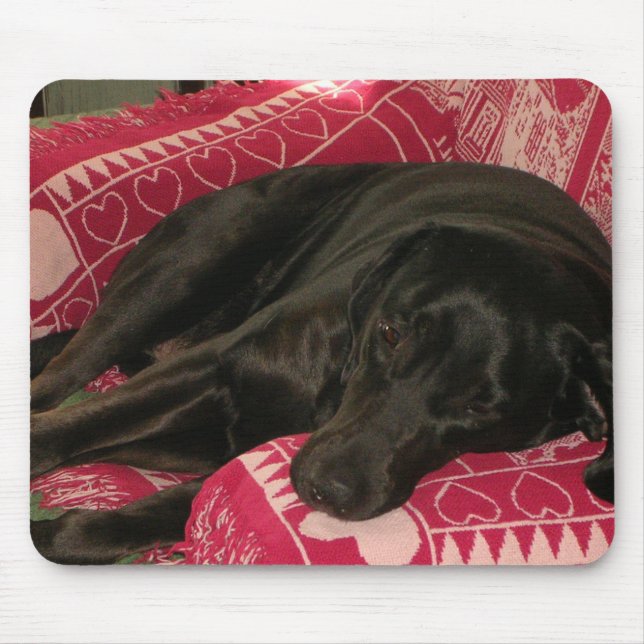 Sleepy Dog Mousepad (Vorne)
