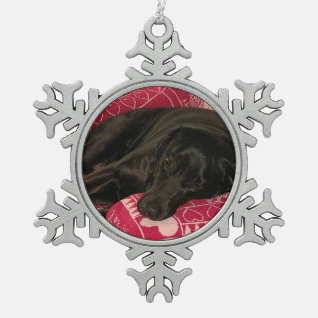 Sleepy Dog Pewter Ornament (Vorderseite)