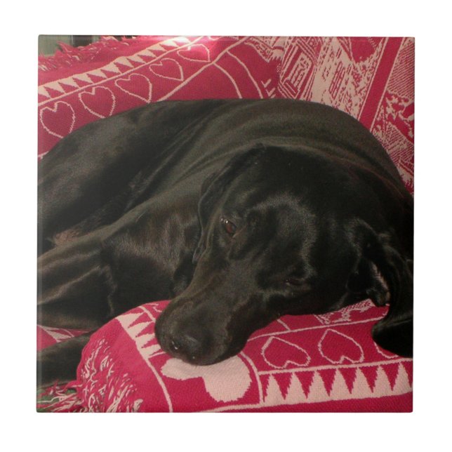 Sleepy Dog Tile Fliese (Vorderseite)