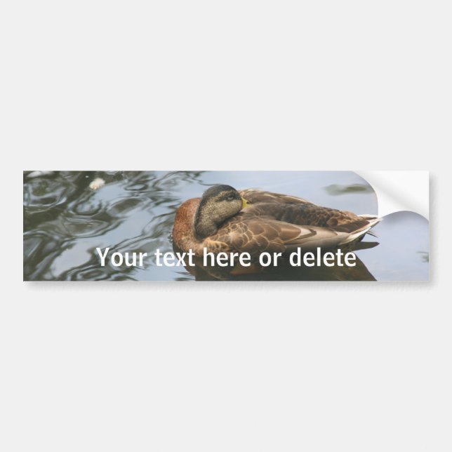 Sleepy Duck Nature Personalized Autoaufkleber (Vorne)